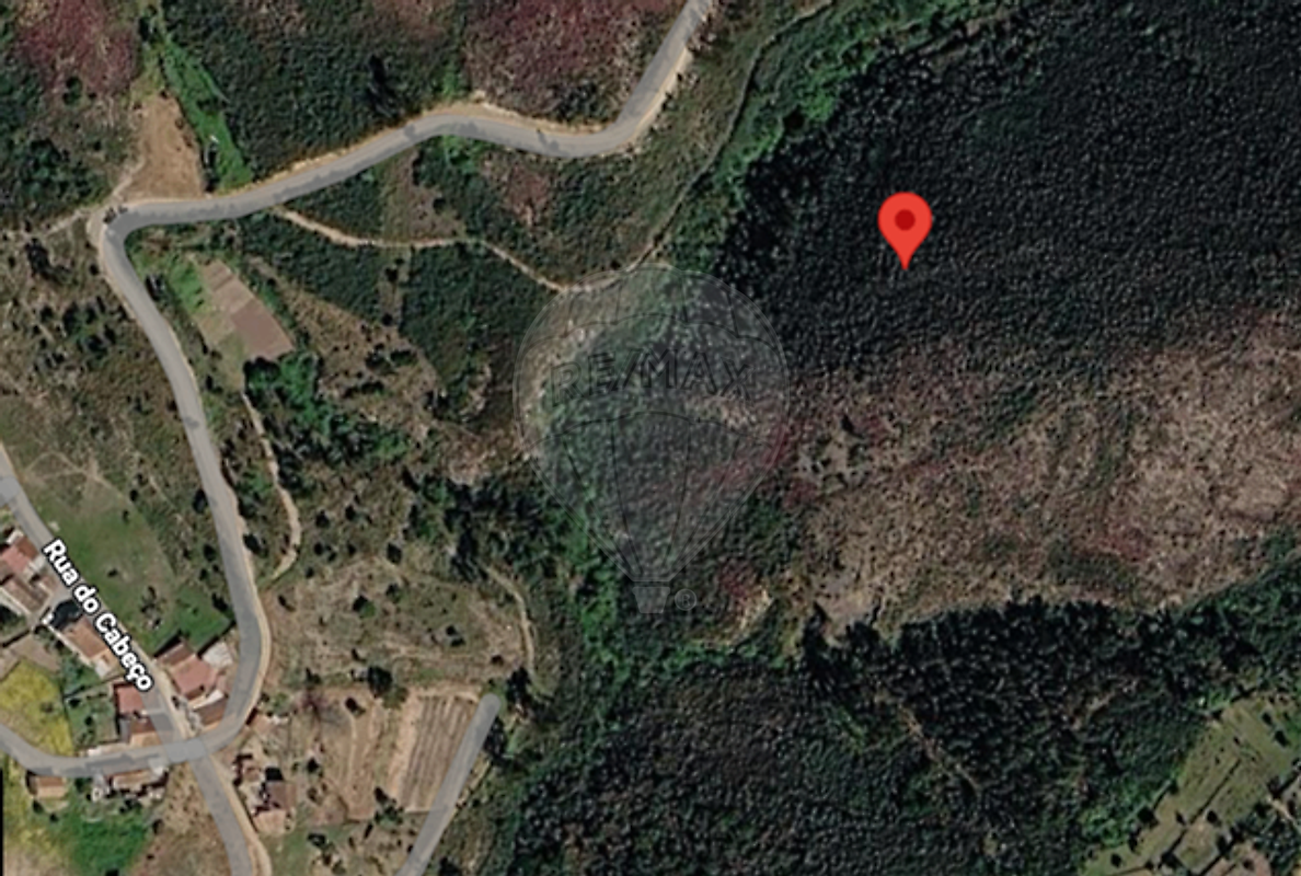 Terreno - Vila de Rei, Vila de Rei, Castelo Branco