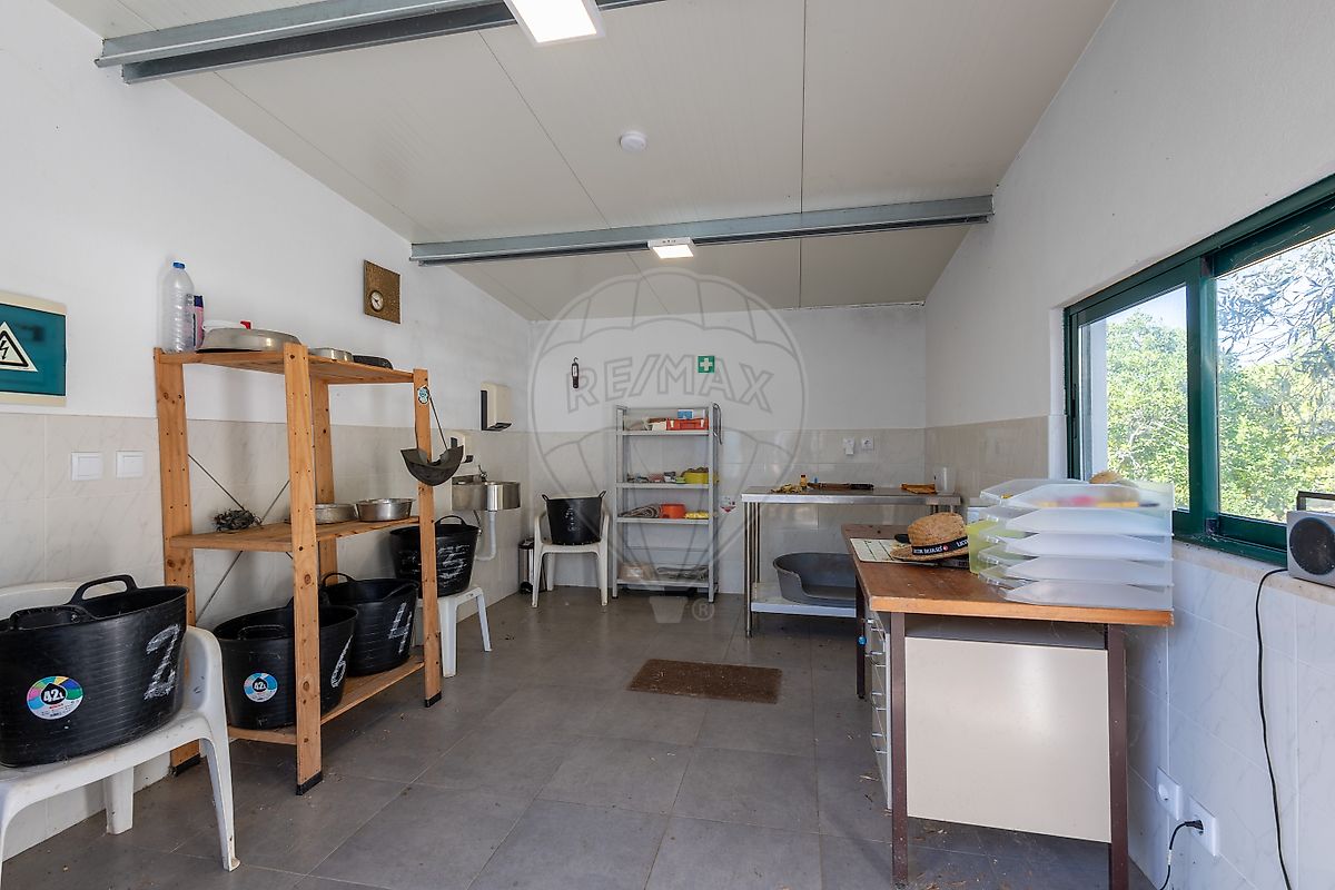 Moradia T5 à venda em Montalvo, Constância — foto 36
