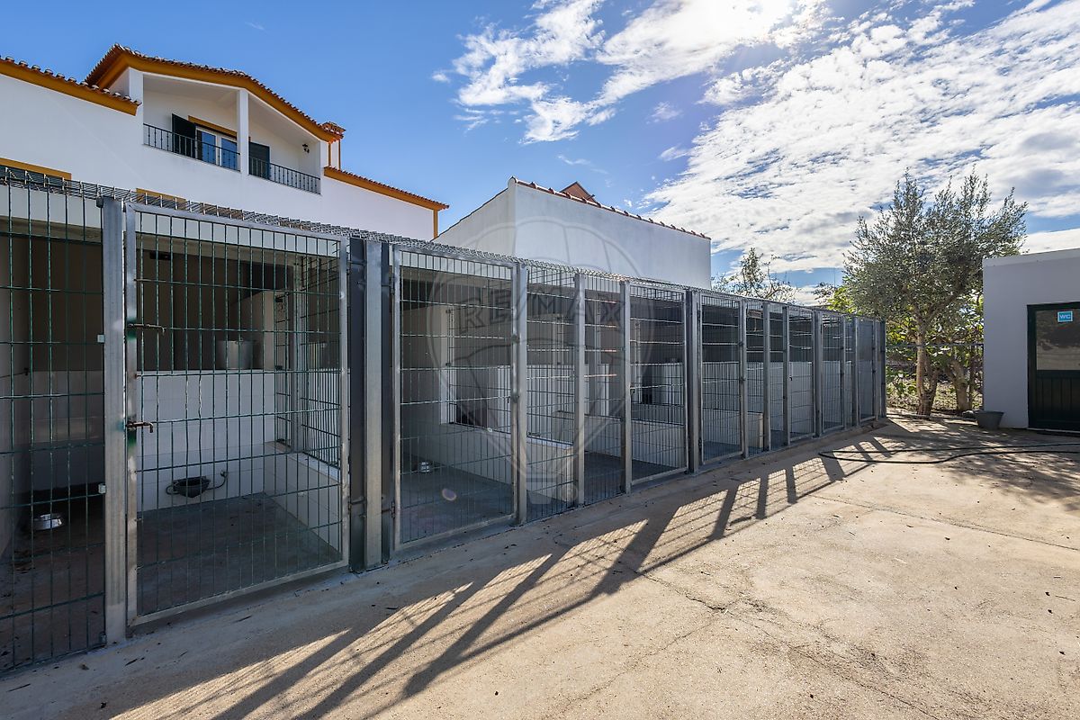 Moradia T5 à venda em Montalvo, Constância — foto 34