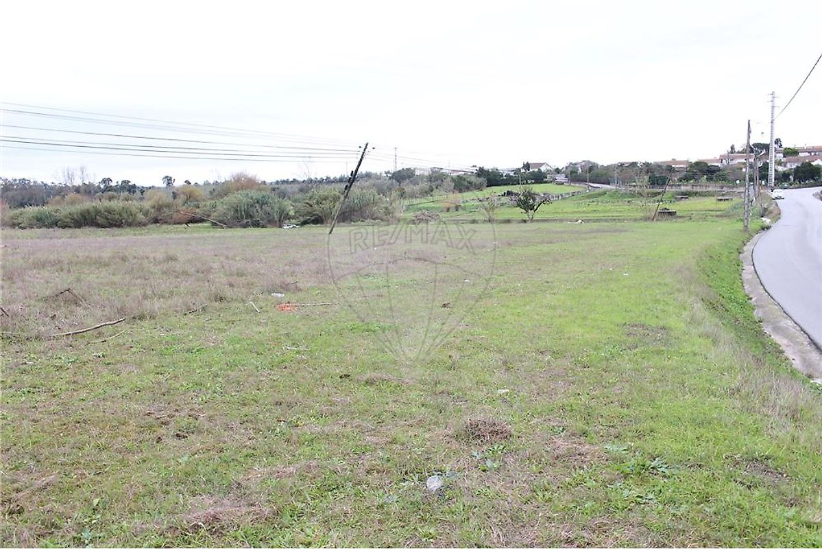Terreno  à venda em Montemor-o-Velho