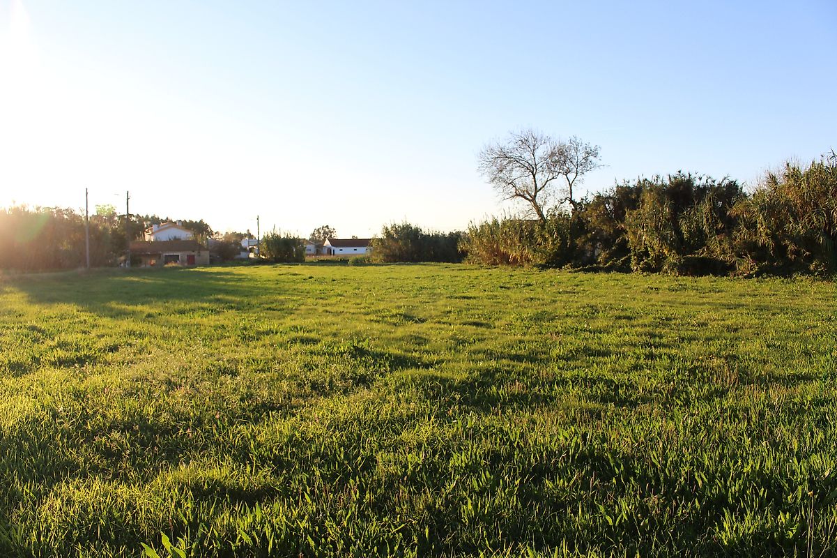 Land for sale in Montemor-o-Velho, Portugal — €60,000