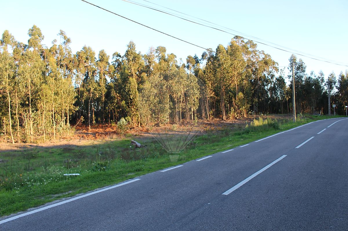 Terreno à venda em Montemor-o-Velho