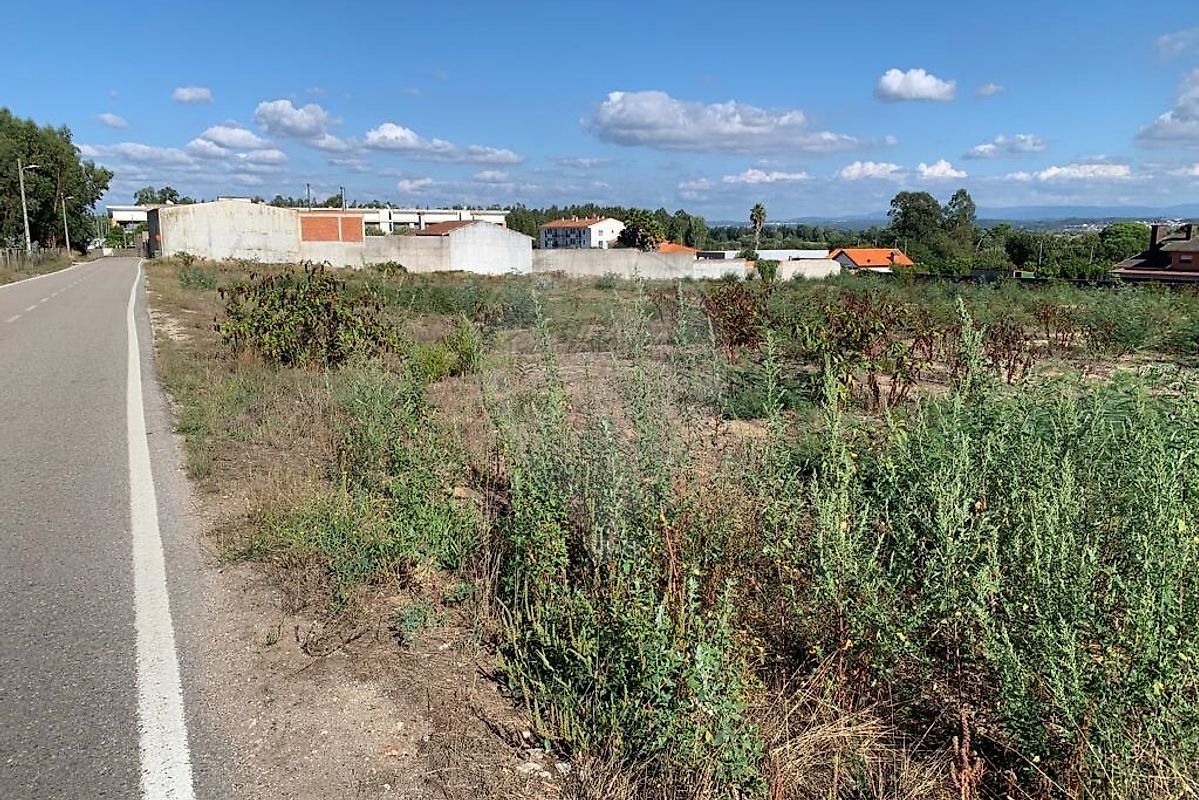 Terreno  para venda