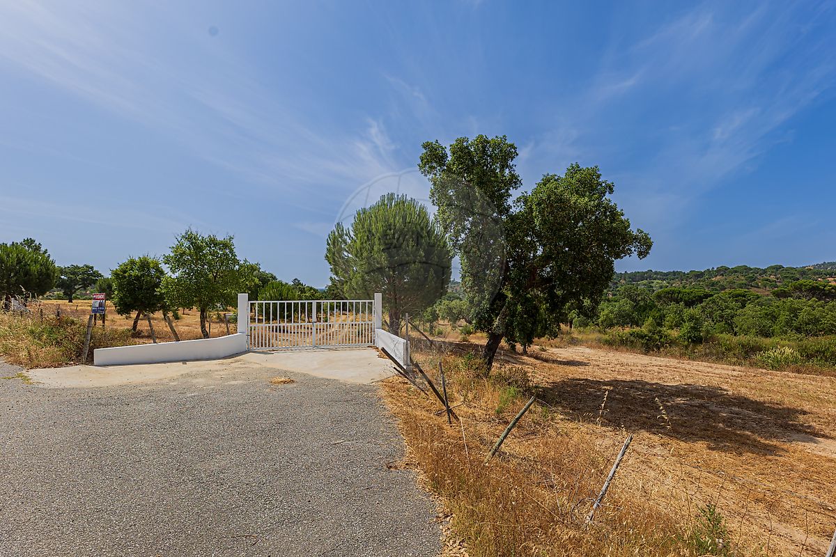 listing 125111043-38 picture-0