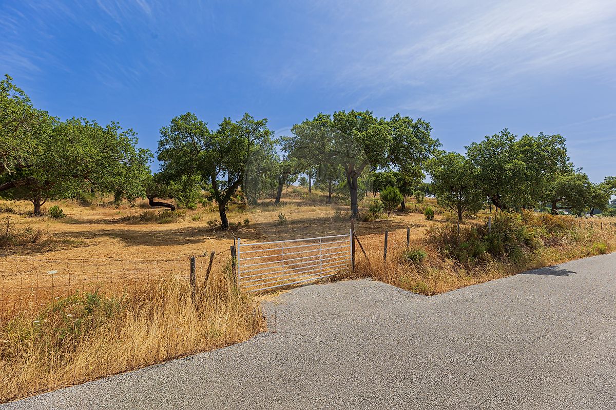 listing 125111043-38 picture-0