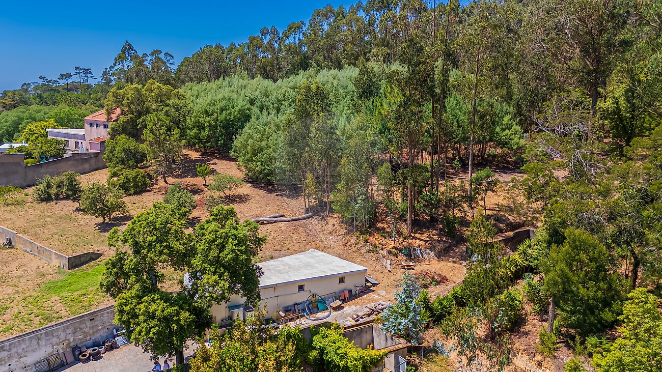 Moradia T6+ à venda em Almargem do Bispo, Pêro Pinheiro e Montelavar, Sintra — foto 6
