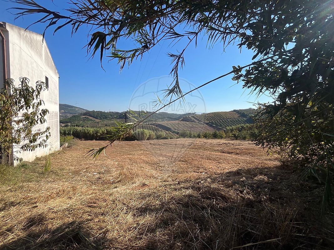 Terreno - Painho e Figueiros, Cadaval, Lisboa