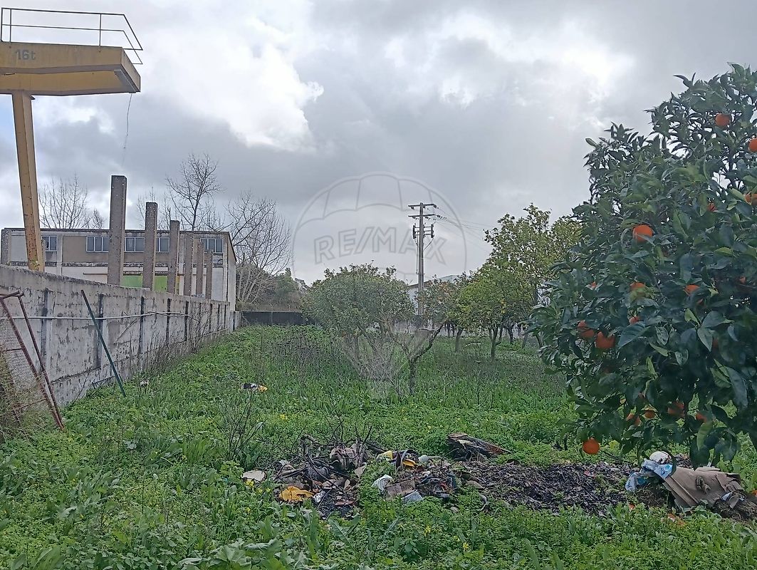 Moradia T4 à venda em Bencatel, Vila Viçosa — foto 24