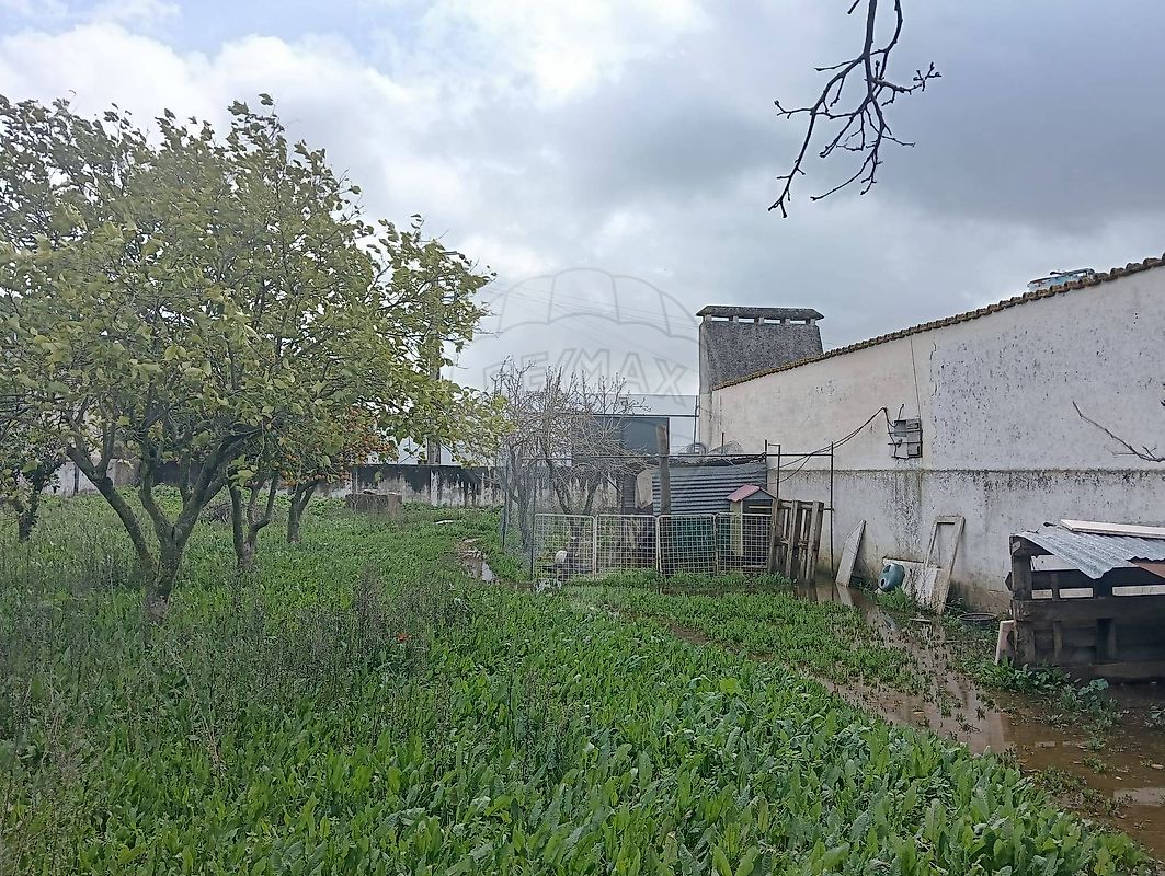 Moradia T4 à venda em Bencatel, Vila Viçosa — foto 22