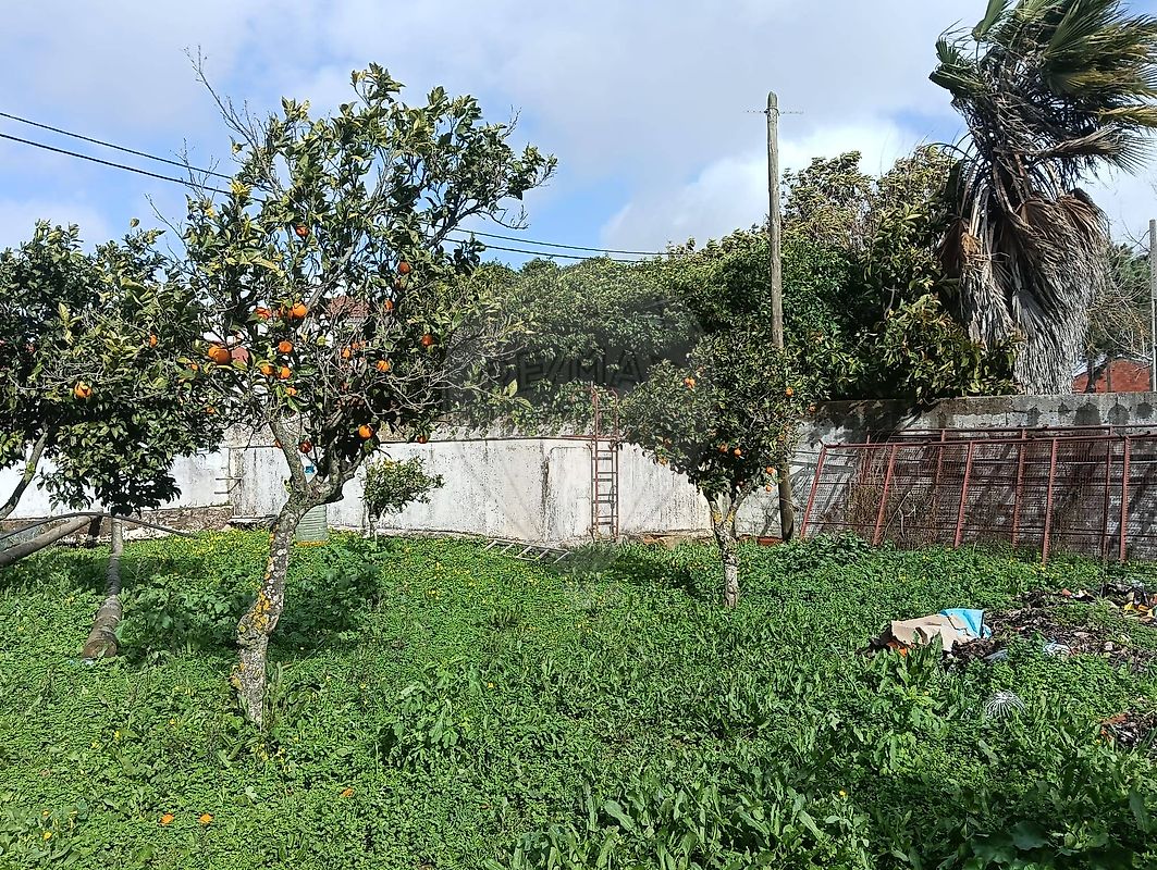 Moradia T4 à venda em Bencatel, Vila Viçosa — foto 21