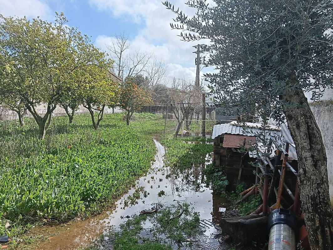 Moradia T4 à venda em Bencatel, Vila Viçosa — foto 19