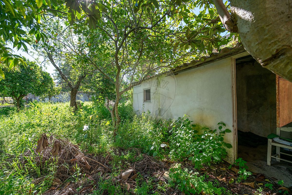 Moradia T3 à venda em Borba (Matriz), Borba — foto 16