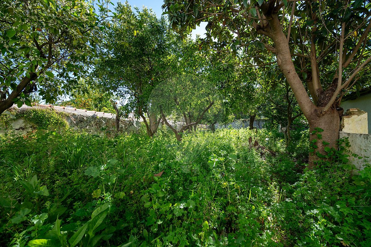 Moradia T3 à venda em Borba (Matriz), Borba — foto 15
