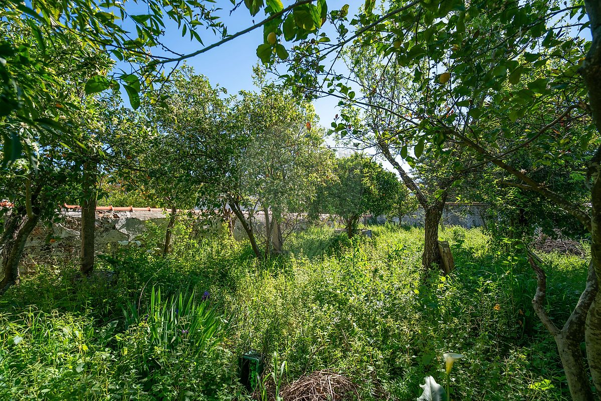 Moradia T3 à venda em Borba (Matriz), Borba — foto 13
