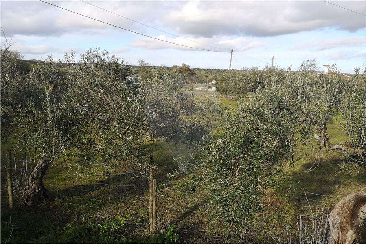 Terreno para construção no concelho de Elvas