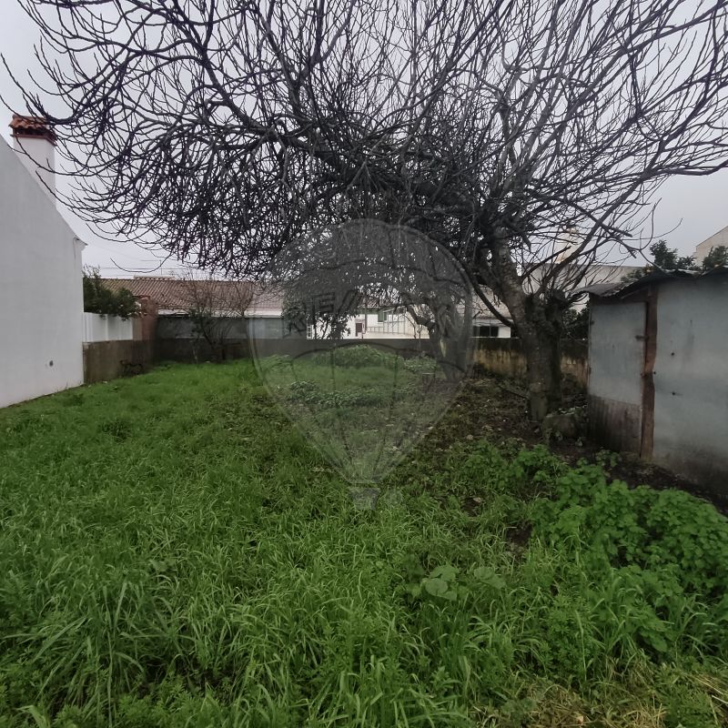 TODO