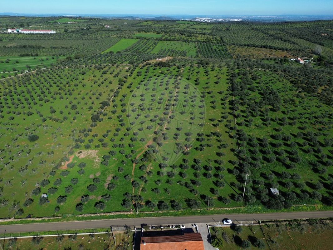 Terreno para venda