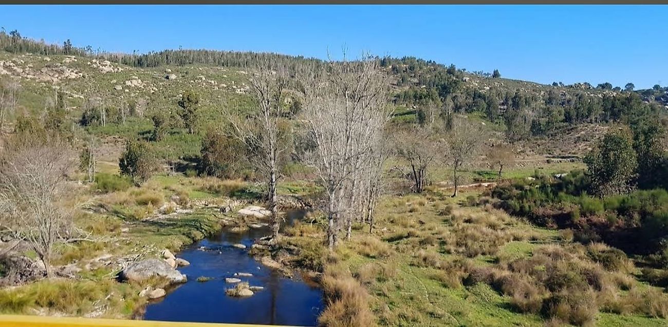 Terreno  à venda em Nisa