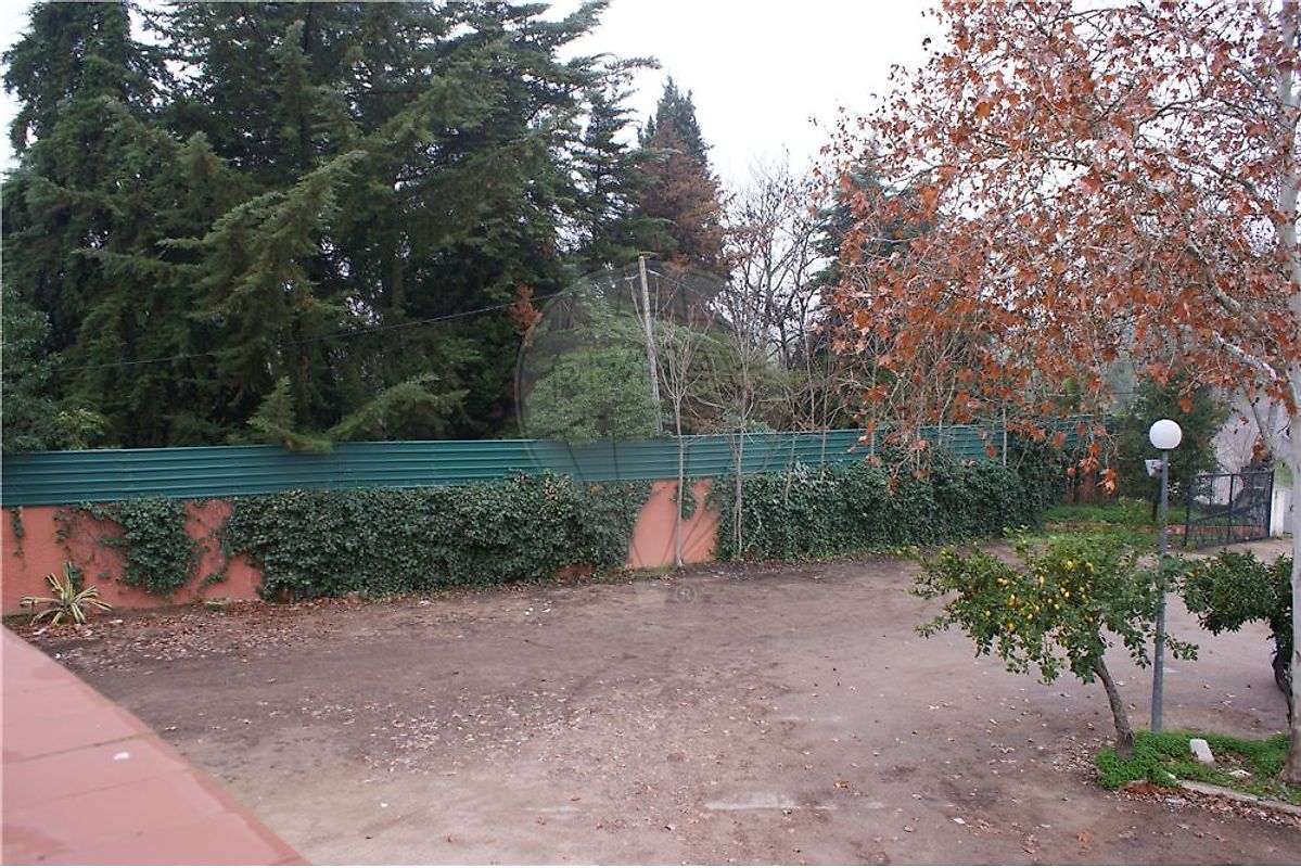 listing 125151009-264 picture-0