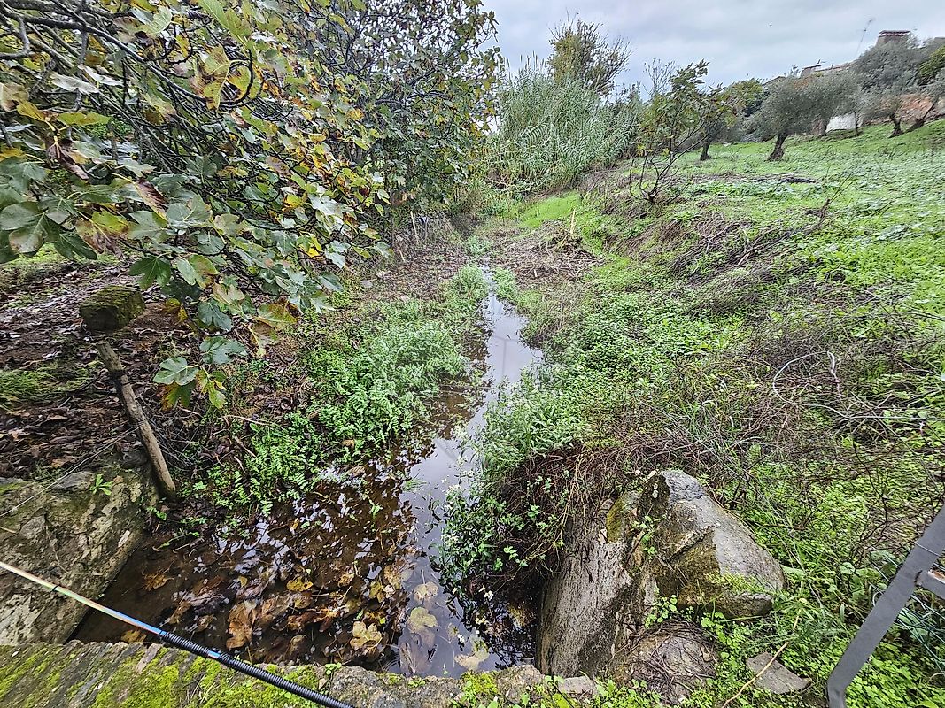 Terreno  para venda