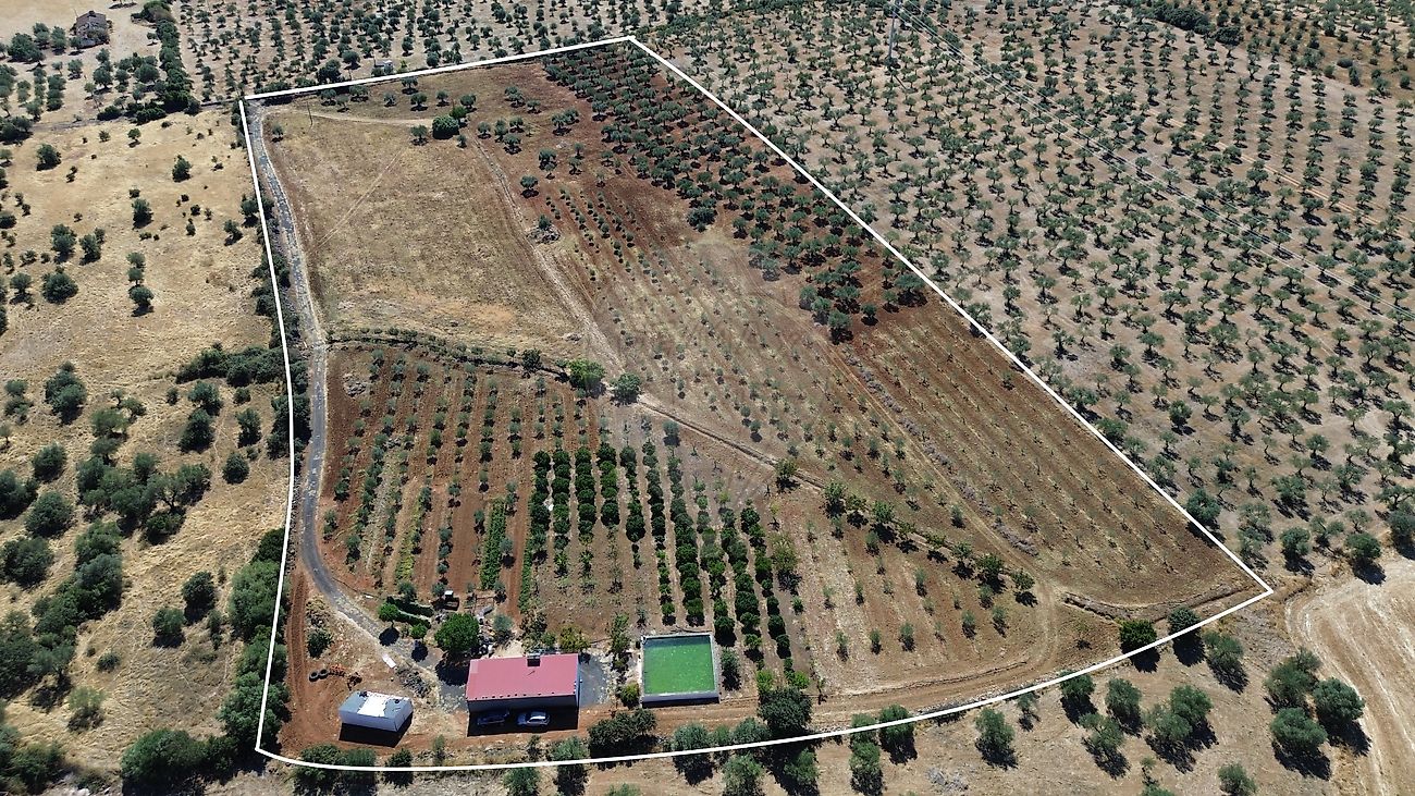 Terreno  para venda