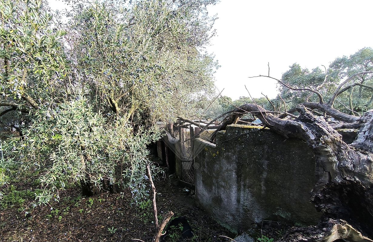 Moradia T2 à venda em São Brás e São Lourenço, Elvas — foto 9