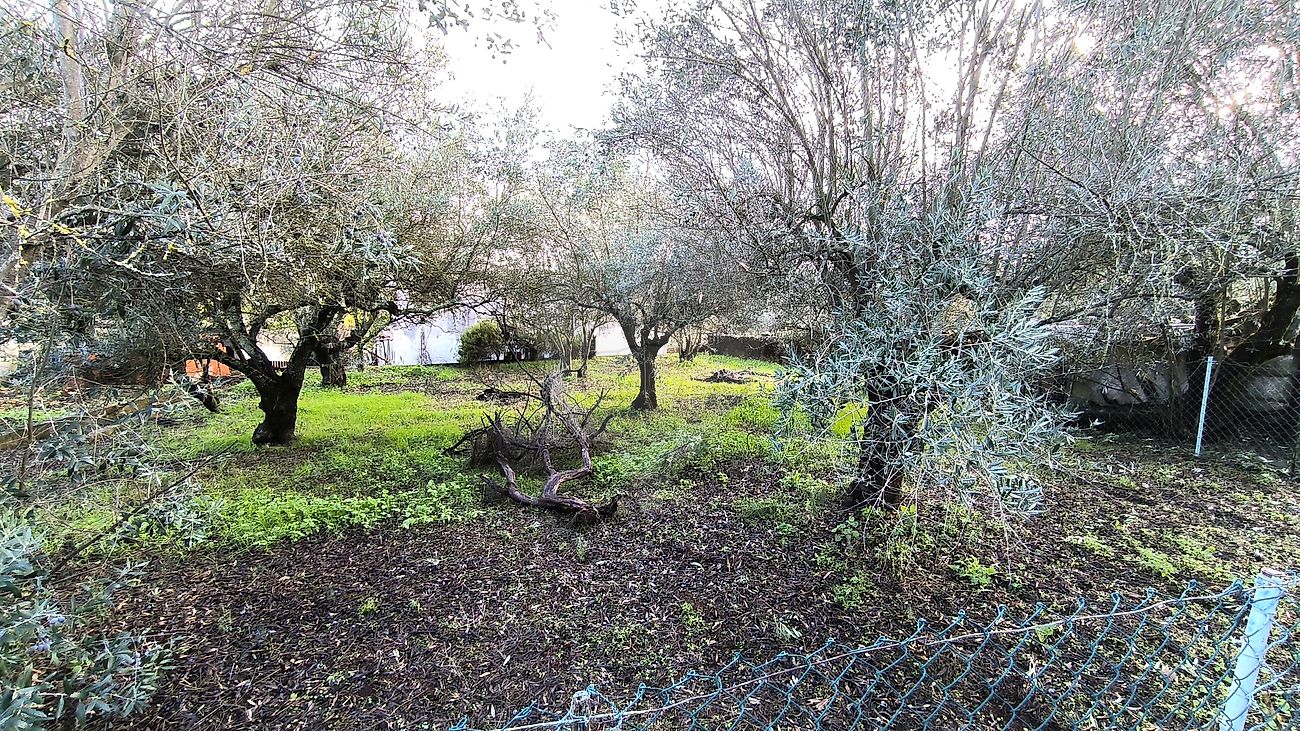 Moradia T2 à venda em São Brás e São Lourenço, Elvas — foto 7