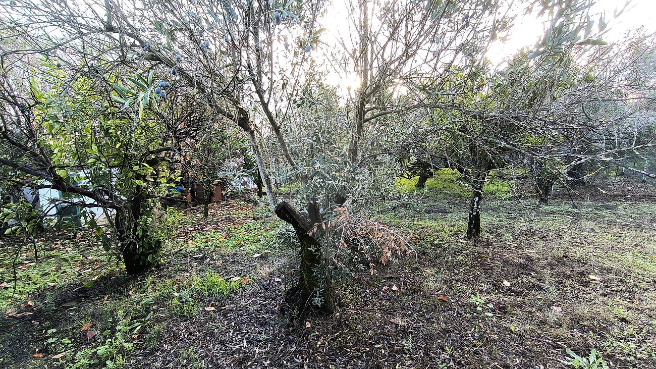 Moradia T2 à venda em São Brás e São Lourenço, Elvas — foto 8