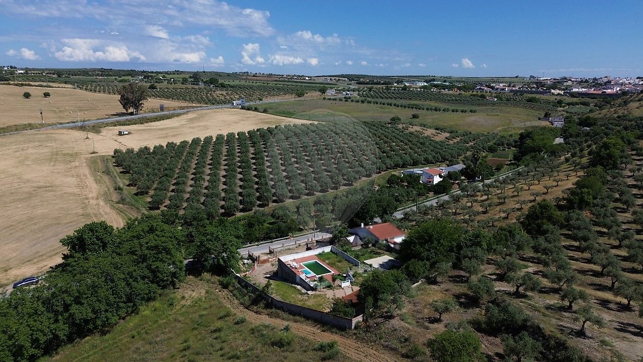 Moradia T2 à venda em São João Batista, Campo Maior — foto 29