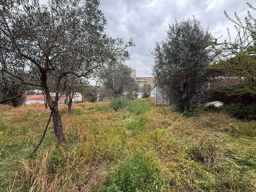 Moradia T3 à venda em Terrugem e Vila Boim, Elvas — foto 30
