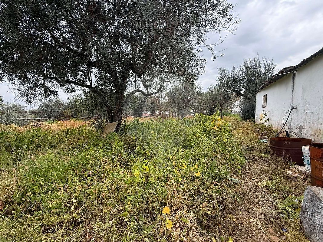 Moradia T3 à venda em Terrugem e Vila Boim, Elvas — foto 27