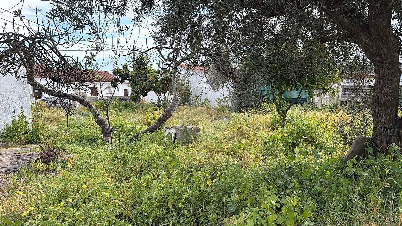Moradia T3 à venda em Terrugem e Vila Boim, Elvas — foto 22