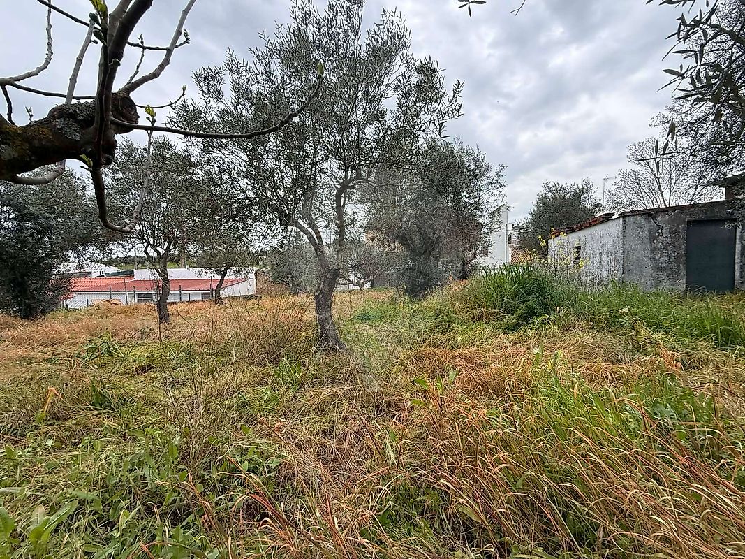 Moradia T3 à venda em Terrugem e Vila Boim, Elvas — foto 29