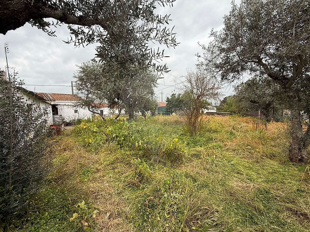 Moradia T3 à venda em Terrugem e Vila Boim, Elvas — foto 26