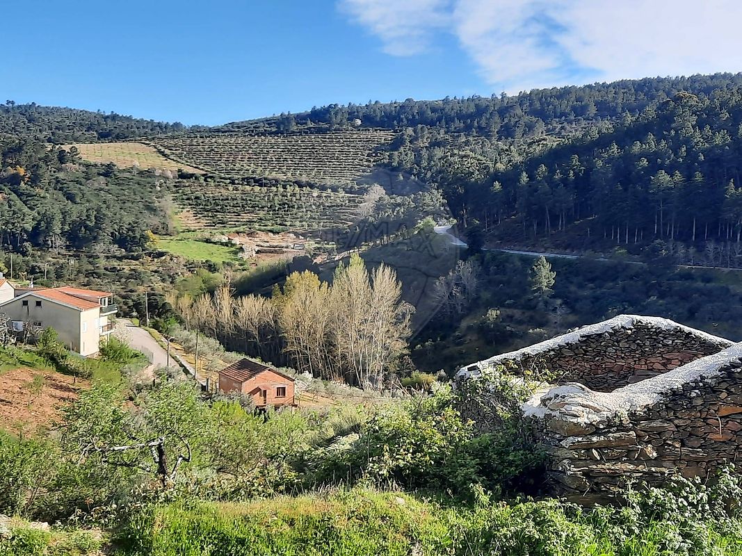 Outros - Habitação - Felgueiras e Maçores, Torre de Moncorvo, Bragança