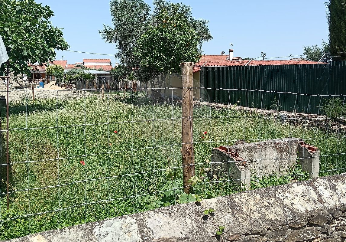 Moradia T3 à venda em Santo Aleixo, Monforte — foto 9