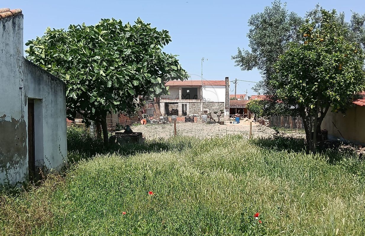 Moradia T3 à venda em Santo Aleixo, Monforte — foto 10