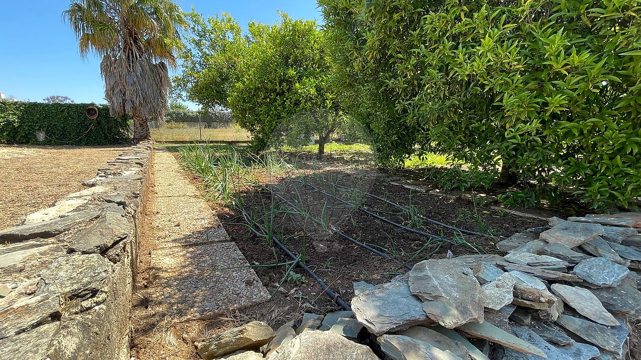 Moradia T3 à venda em São Brás e São Lourenço, Elvas — foto 24