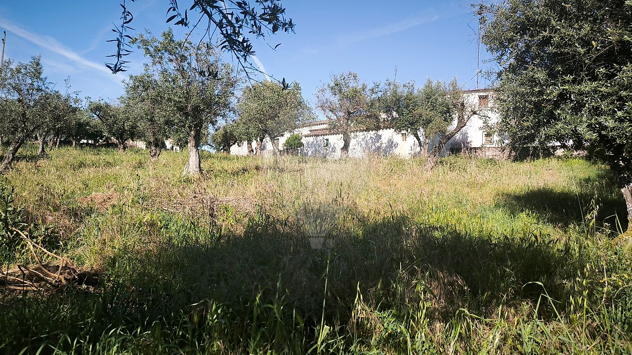 Moradia T2 à venda em Esperança, Arronches — foto 5