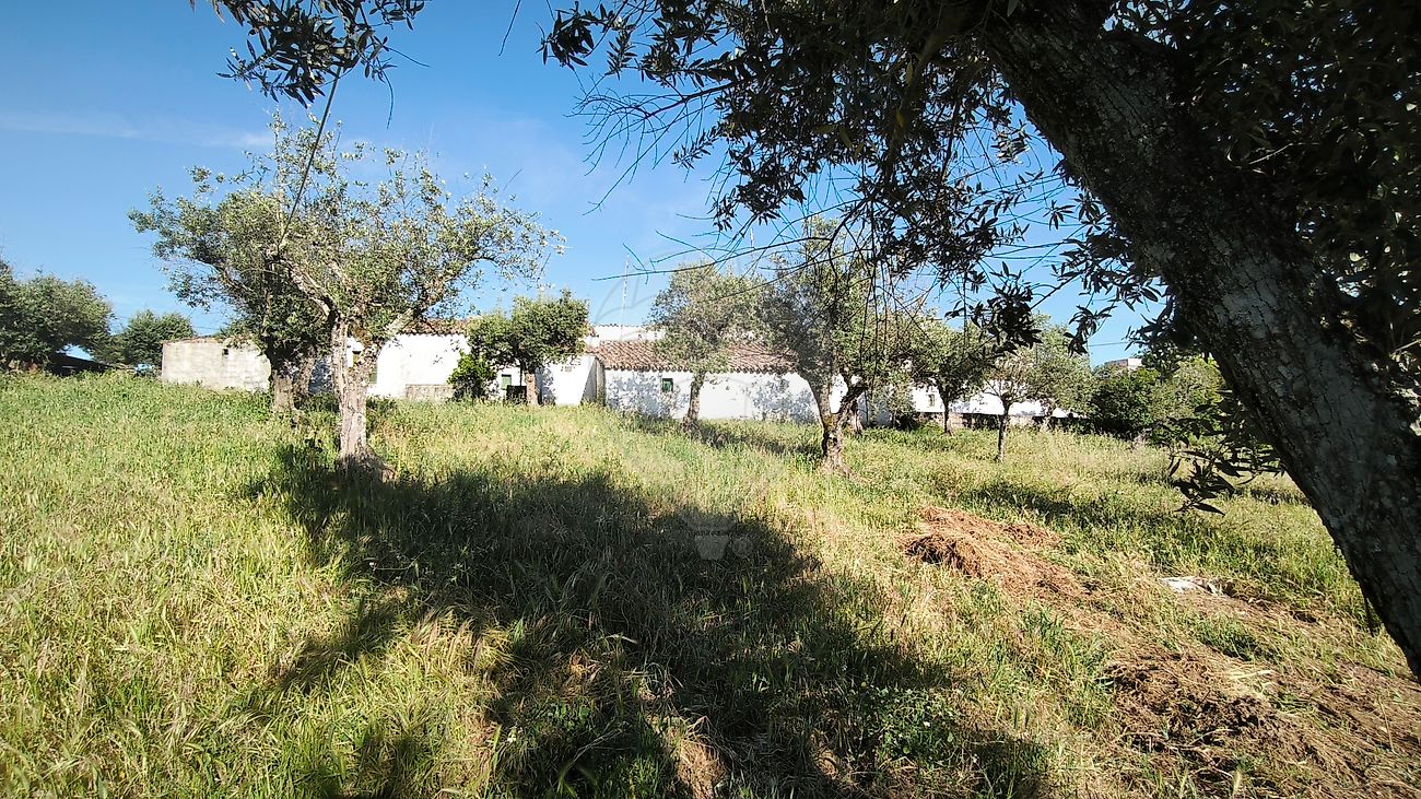 Moradia T2 à venda em Esperança, Arronches — foto 6