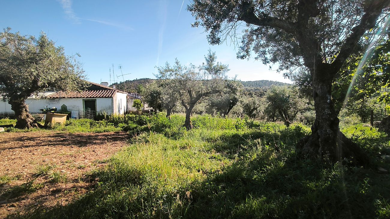 Moradia T2 à venda em Esperança, Arronches — foto 8