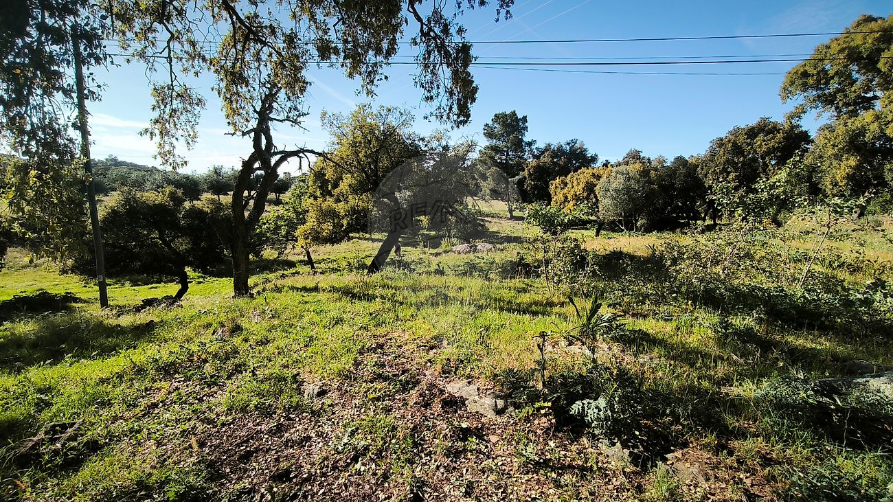 Moradia T6+ à venda em Esperança, Arronches — foto 22