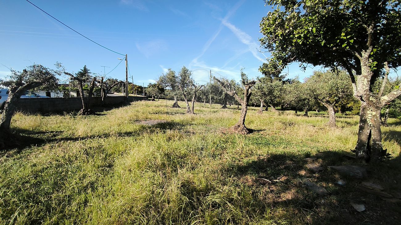 Moradia T6+ à venda em Esperança, Arronches — foto 27