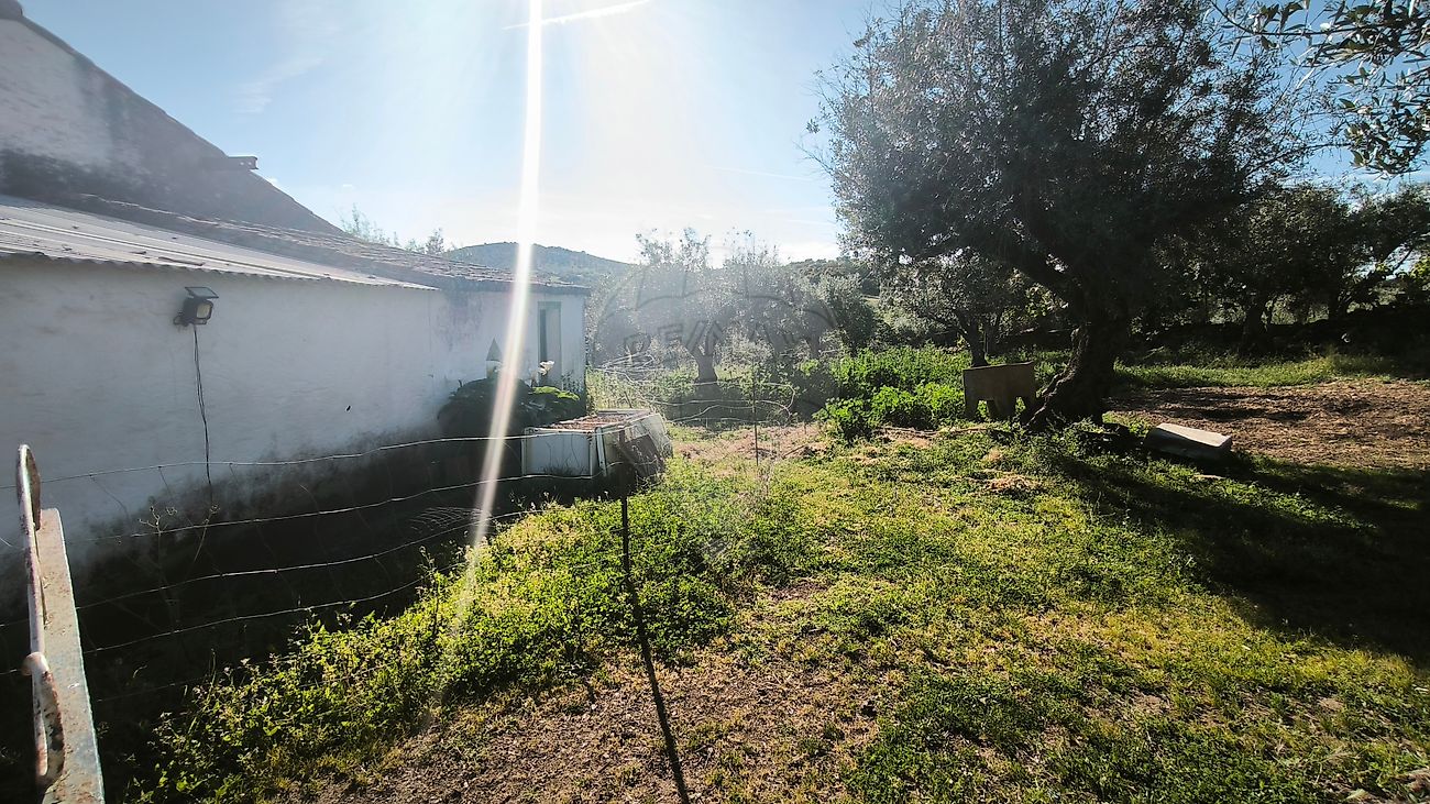 Moradia T6+ à venda em Esperança, Arronches — foto 35