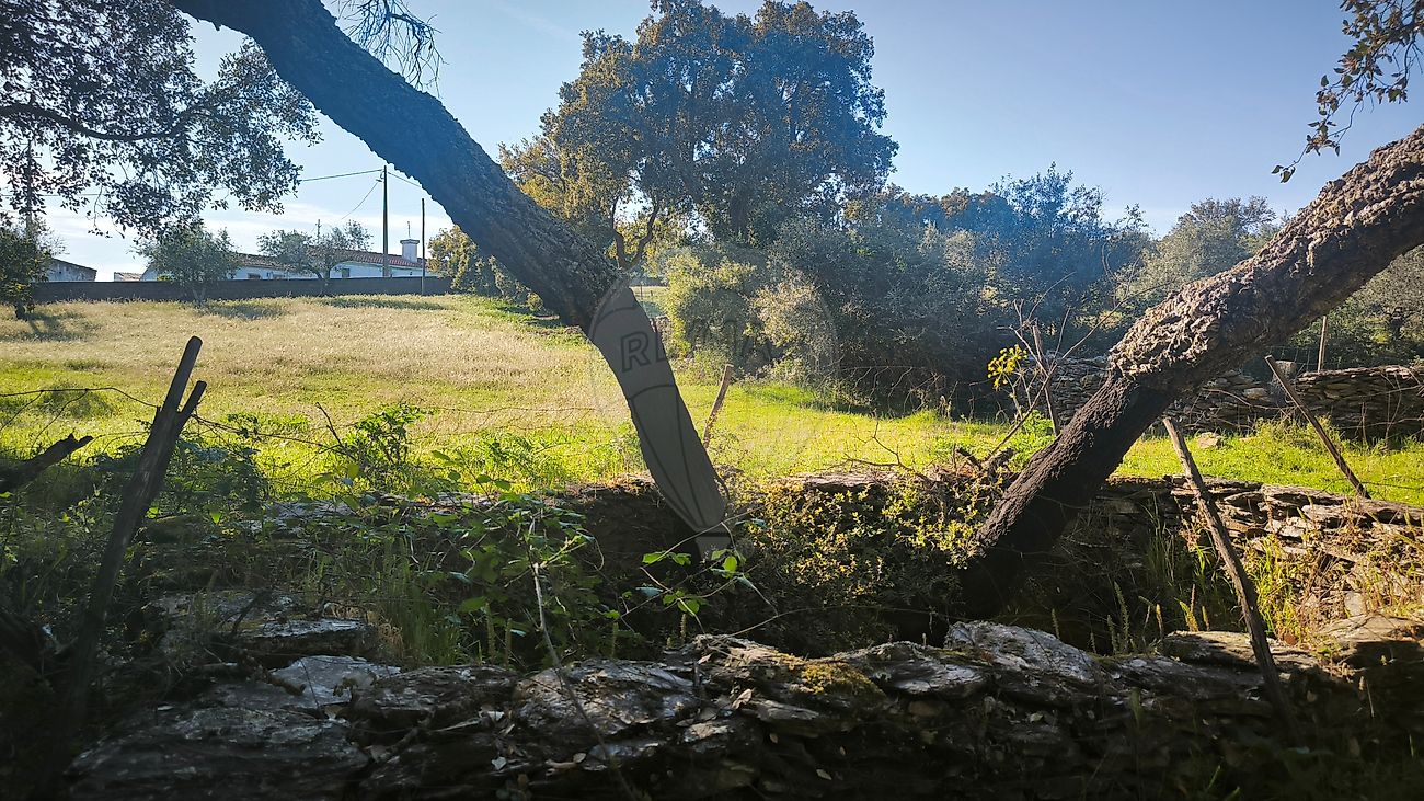Moradia T6+ à venda em Esperança, Arronches — foto 21