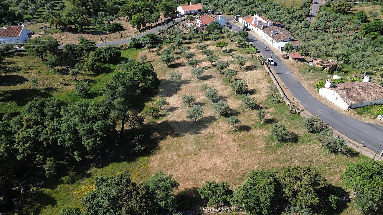 Moradia T6+ à venda em Esperança, Arronches — foto 6