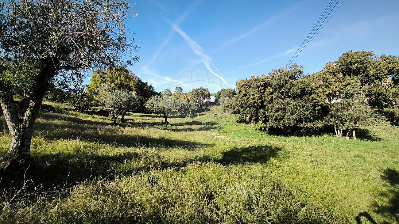 Moradia T6+ à venda em Esperança, Arronches — foto 23