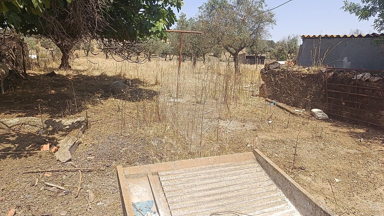 Moradia T2 à venda em Orada, Borba — foto 34