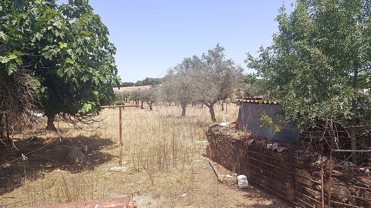 Moradia T2 à venda em Orada, Borba — foto 33
