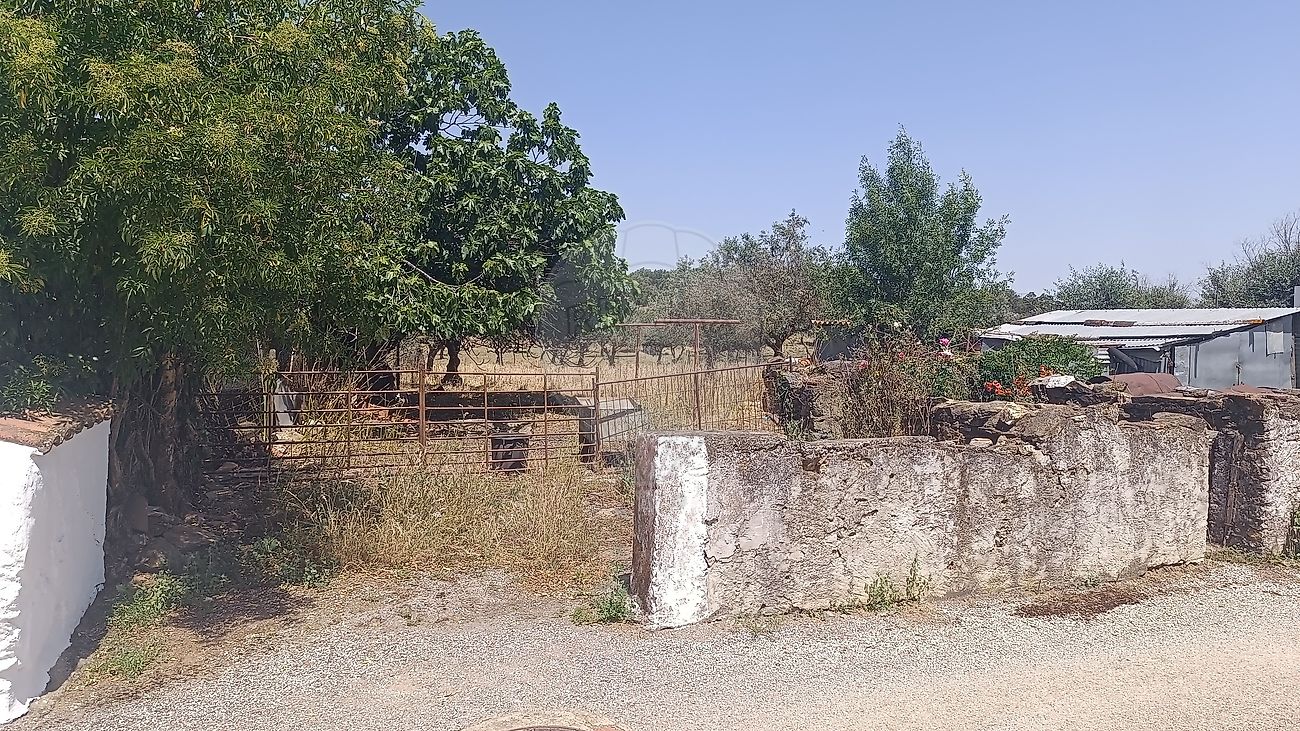 Moradia T2 à venda em Orada, Borba — foto 30